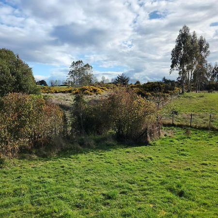 Cabana Los Chilcos Villa Puerto Varas Eksteriør bilde